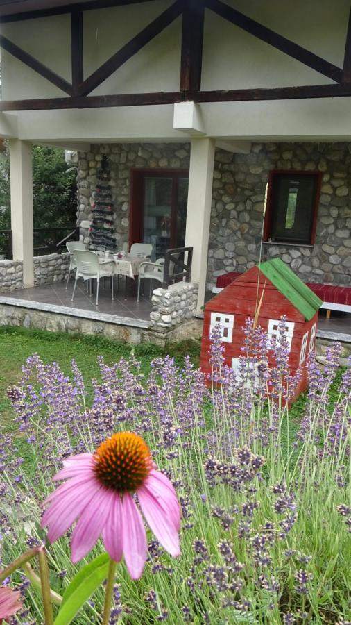 Chalet Mila Маврово Экстерьер фото