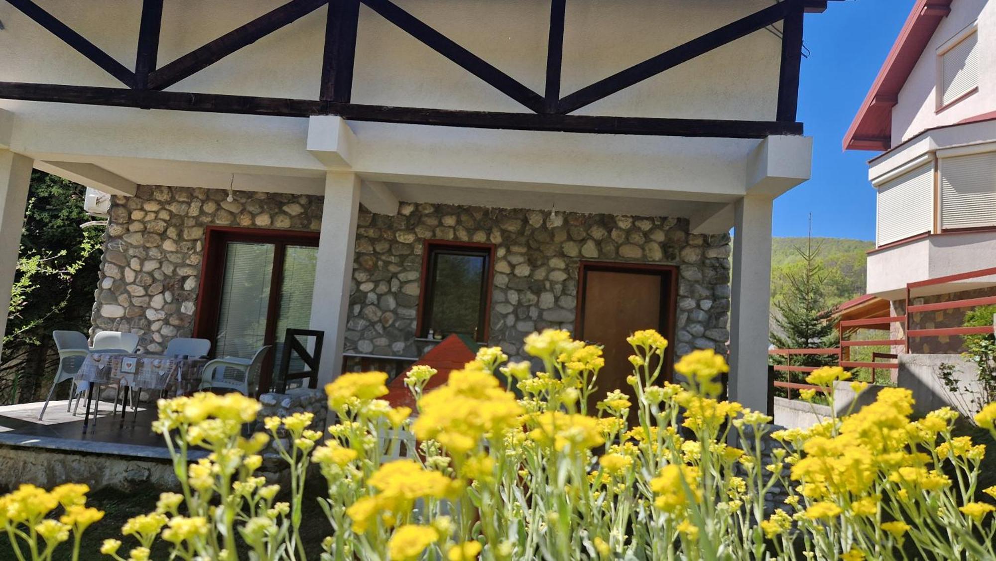 Chalet Mila Маврово Экстерьер фото