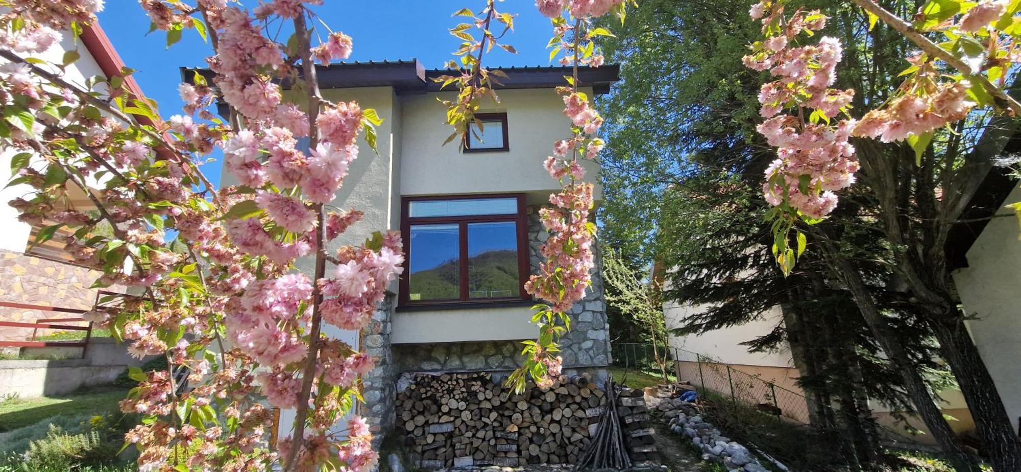 Chalet Mila Маврово Экстерьер фото