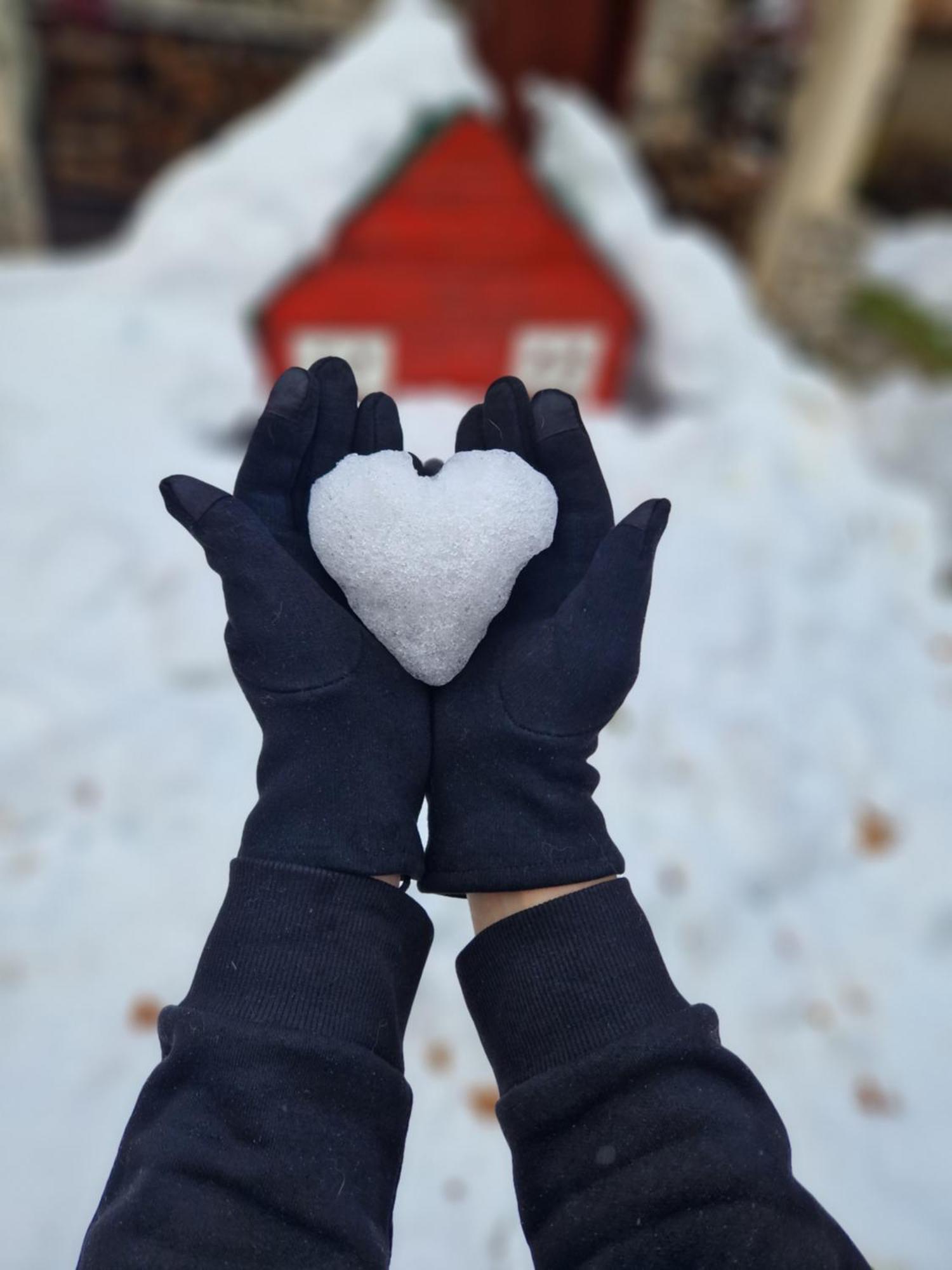 Chalet Mila Маврово Экстерьер фото